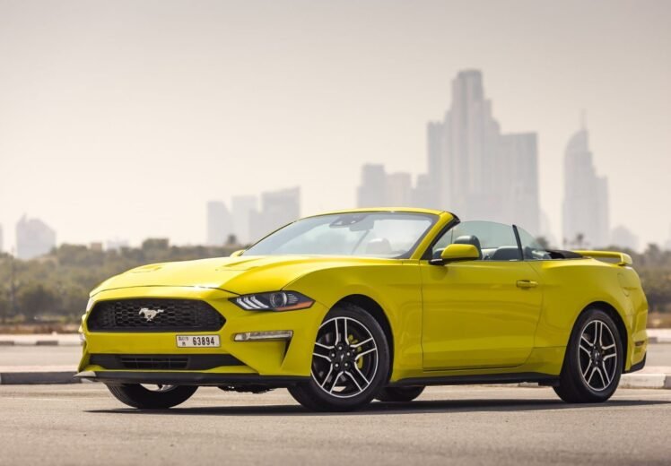 WhatsApp Image 2026-01-03 at 5.11.02 PM