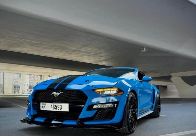 WhatsApp Image 2026-01-14 at 9.48.59 PM